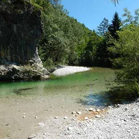 Apartma Trebusca 公寓 Dolenja Trebusa