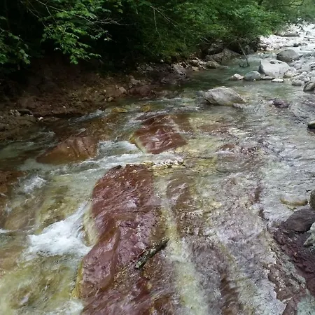 Apartamento Apartma Trebusca