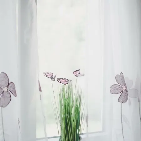 Apartma Trebusca アパート *