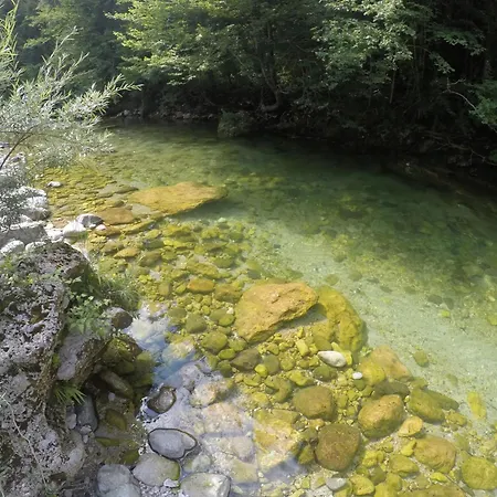 Apartma Trebusca アパート Dolenja Trebuša