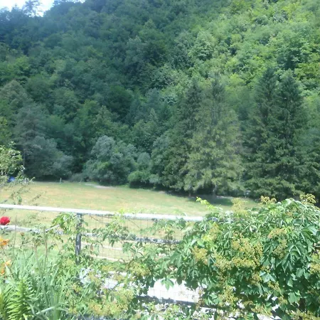 Apartma Trebusca Apartment Dolenja Trebusa