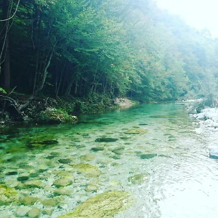 Apartamento Apartma Trebusca