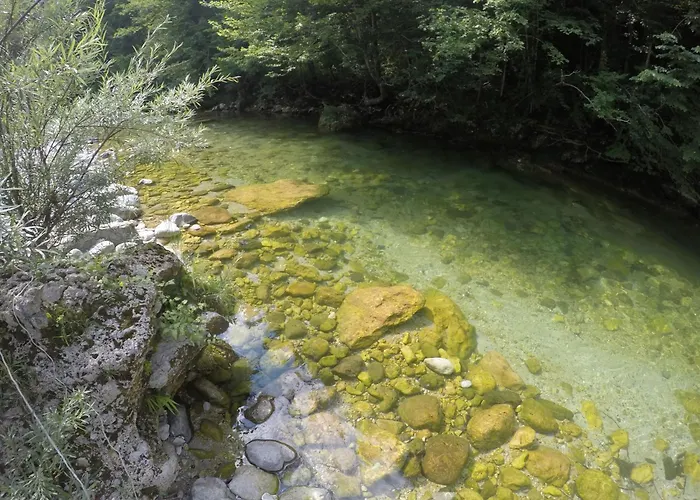 Apartma Trebusca شقة Dolenja Trebusa