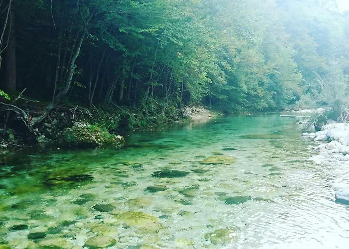 شقة Apartma Trebusca